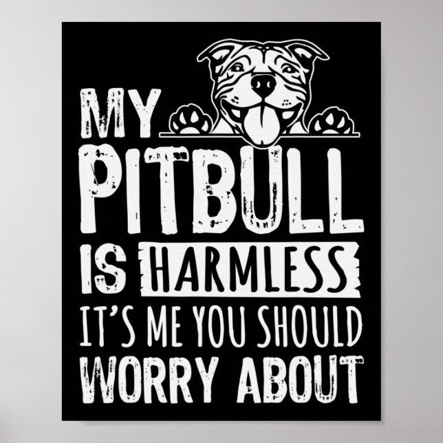 Poster Mon Pitbull est sans danger c'est moi que vous dev (Devant)