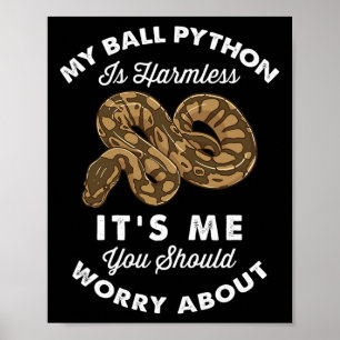 Poster Mon Python Ball est sans danger C'est moi que tu d