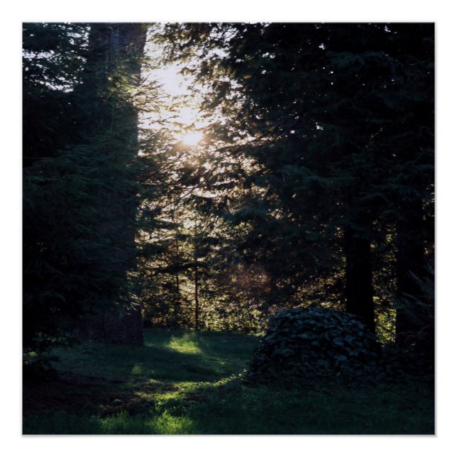 Poster Mon sanctuaire à Klamath, Californie.... (Devant)