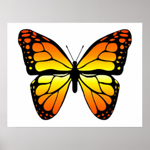 Poster Monarch Butterfly
