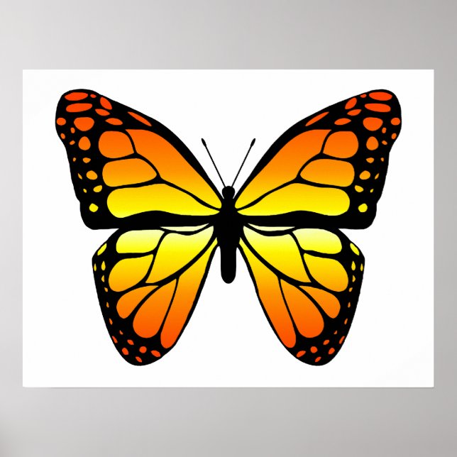 Poster Monarch Butterfly (Devant)