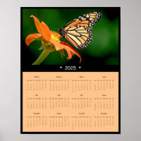 Poster Monarch Butterfly Wall Calendar 2025