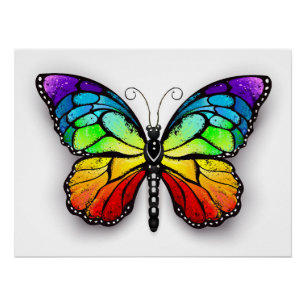 Poster Monarque papillon arc-en-ciel