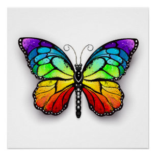 Poster Monarque papillon arc-en-ciel