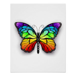 Poster Monarque papillon arc-en-ciel