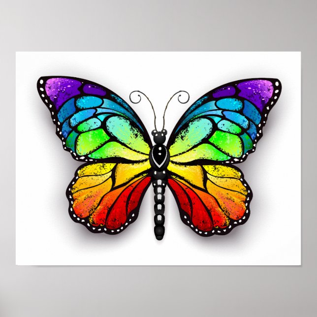 Poster Monarque papillon arc-en-ciel (Devant)