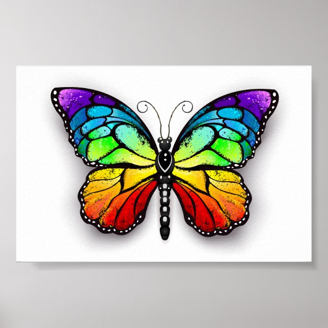 Poster Monarque papillon arc-en-ciel (Devant)