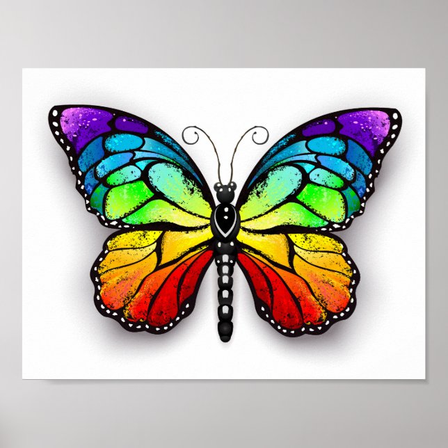 Poster Monarque papillon arc-en-ciel (Devant)