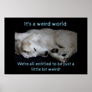 Poster Monde bizarre du chien de garde de Maremme