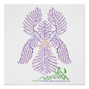 Poster Mondial Iris