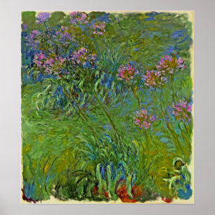 Poster Monet - Fleurs d'Agapanthus 1917