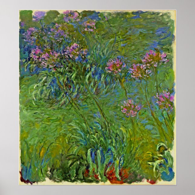 Poster Monet - Fleurs d'Agapanthus 1917 (Devant)