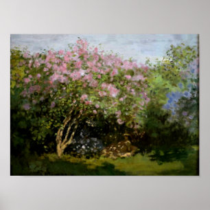 Poster Monet - Lilacs au soleil