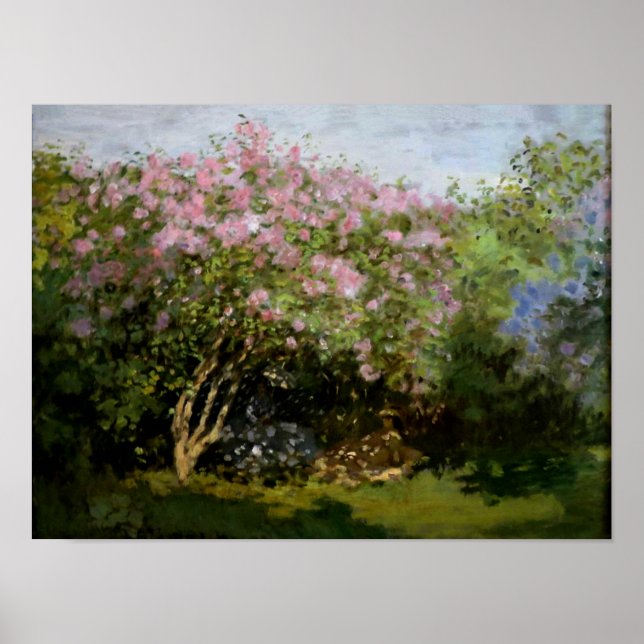 Poster Monet - Lilacs au soleil (Devant)