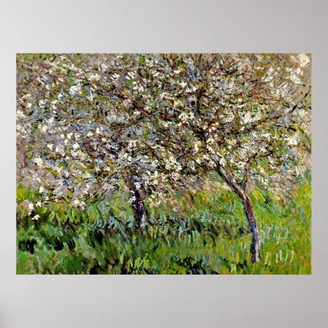 Poster Monet - Pommiers en fleurs (Devant)