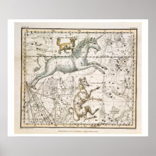Poster Monoceros, from 'A Celestial Atlas', pub. en 1822