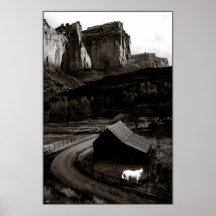 Monochrome Cheval Blanc dans les Canyonlands Poste