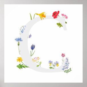 Poster monogramme botanique alphabet c fleur sauvage
