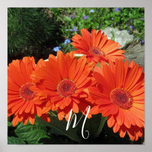 Poster Monogramme Orange Floral Photographie