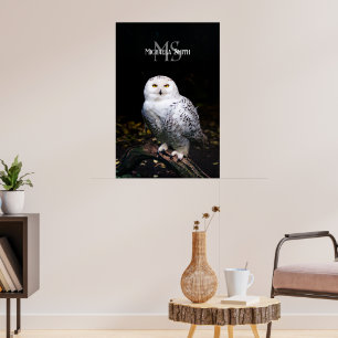 Poster Monographie de hivernal majestueux hivernal