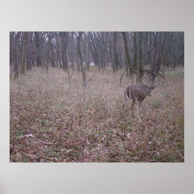 Poster Monster Buck (Devant)