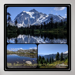 Poster Mont Baker-Snoqualmie Collage forestier national P