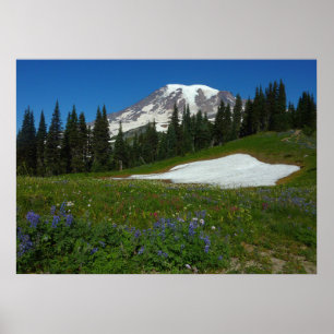 Poster Mont Rainier, Fleurs sauvages et Neige