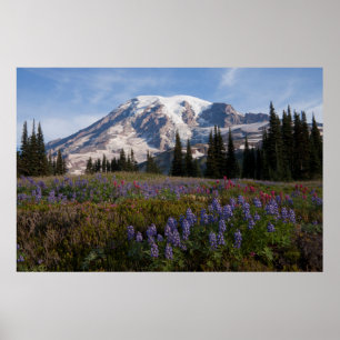 Poster Mont Rainier National Park, Mont Rainier 3
