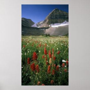 POSTER MONT TIMPANOGOS WILDERNESS, UT, US,