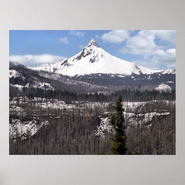 Poster Mont Washington (Devant)