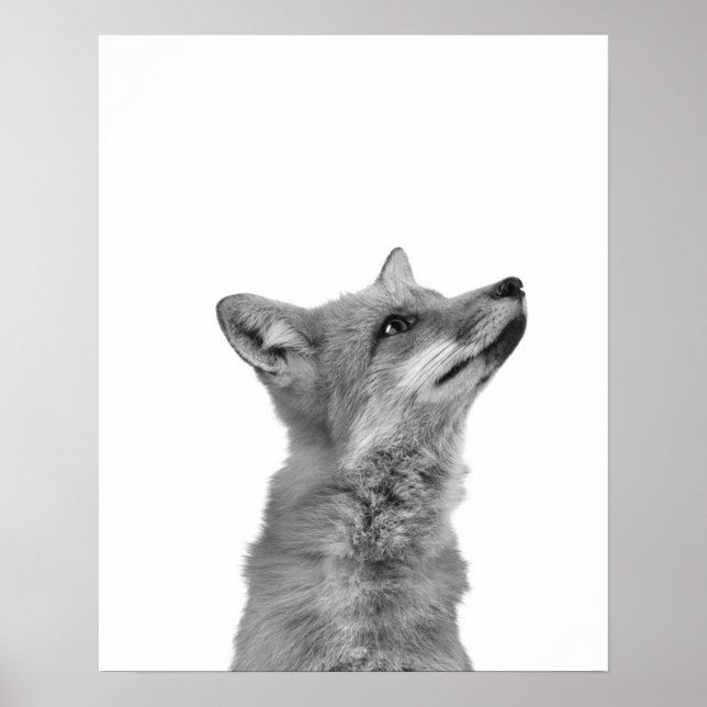 Poster Montagne Cabine Monochromatique Fox (Devant)