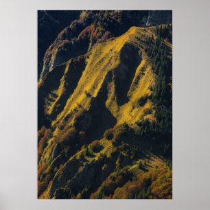 Poster Montagne couverte d'herbe en automne