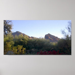 Poster Montagne de Camelback