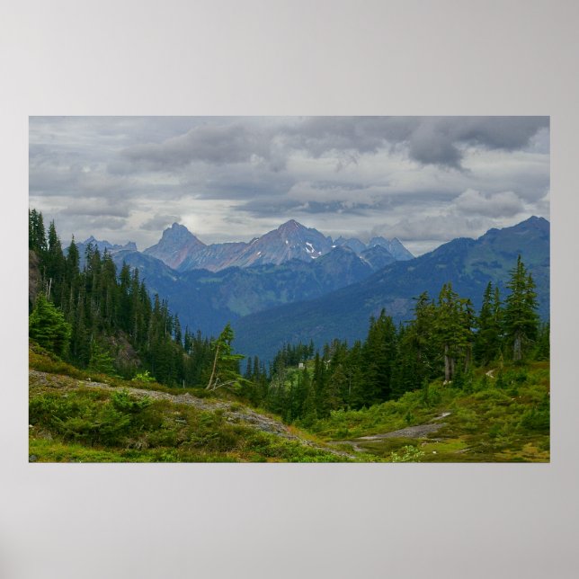 Poster Montagne de chèvres (Devant)