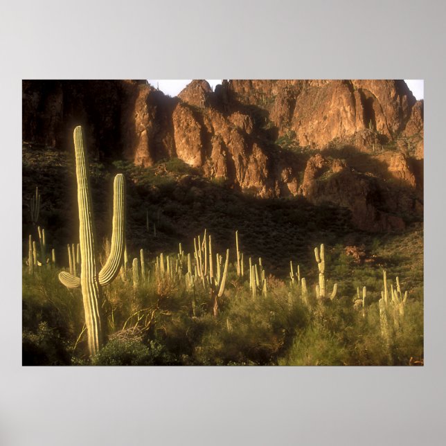 Poster Montagne de superstition (Devant)