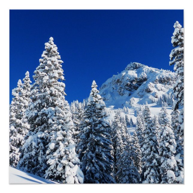Poster Montagne des neiges (Devant)