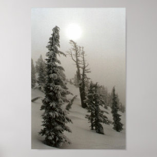 Poster Montagne neigeuse et arbres
