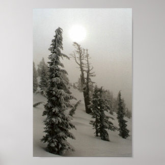 Poster Montagne neigeuse et arbres