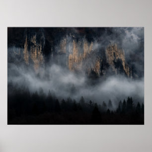 Poster Montagnes avec brouillard à travers la forêt d'épi
