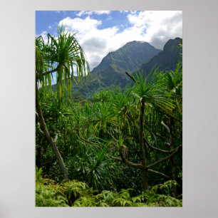 Poster Montagnes de Koolau