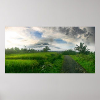 Poster Montagnes et champs de Ricefields