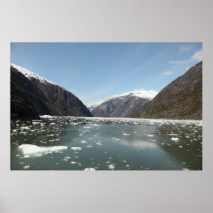 Poster Montagnes et icebergs Imprimer