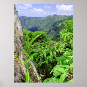 Poster Montagnes hawaïennes de Koolau