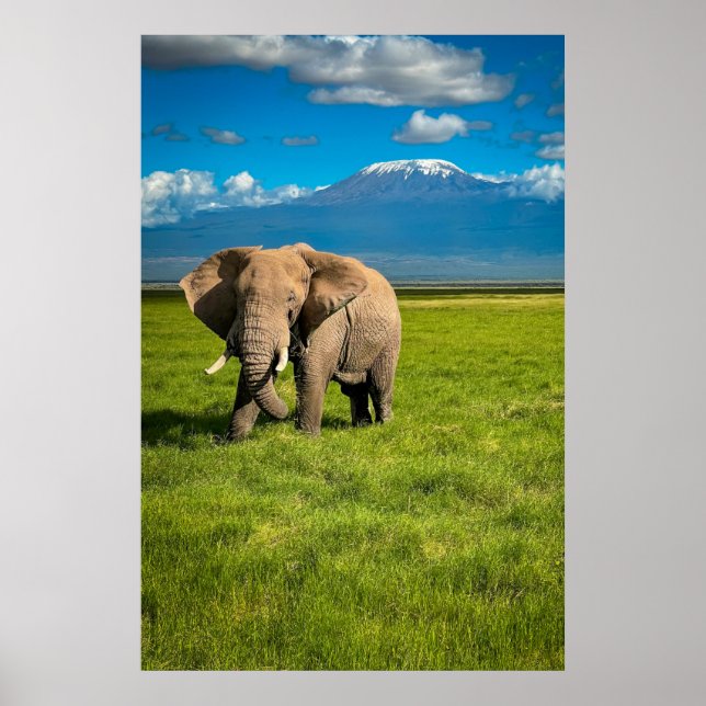 Poster Montagnes | Mont Kilimandjaro Tanzanie, Afrique (Devant)
