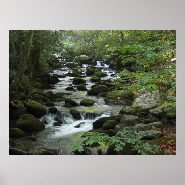 Poster Montagnes Smokey (Devant)