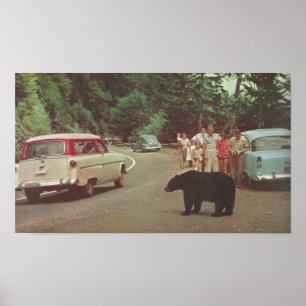 Poster Montagnes Smoky de Caroline du Nord