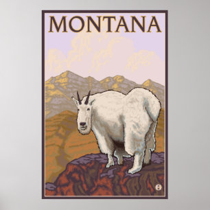 Poster Montana - Chèvre de montagne