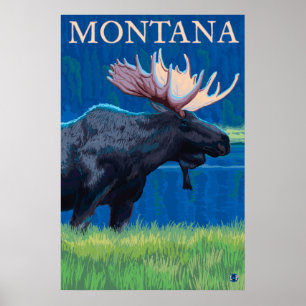 Poster Montana - Oie
