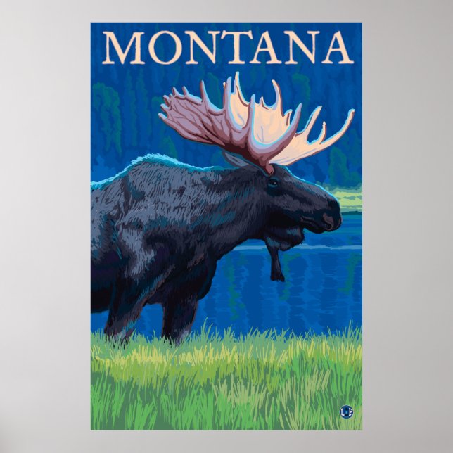 Poster Montana - Oie (Devant)