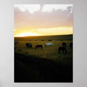 Poster Montana Sky
